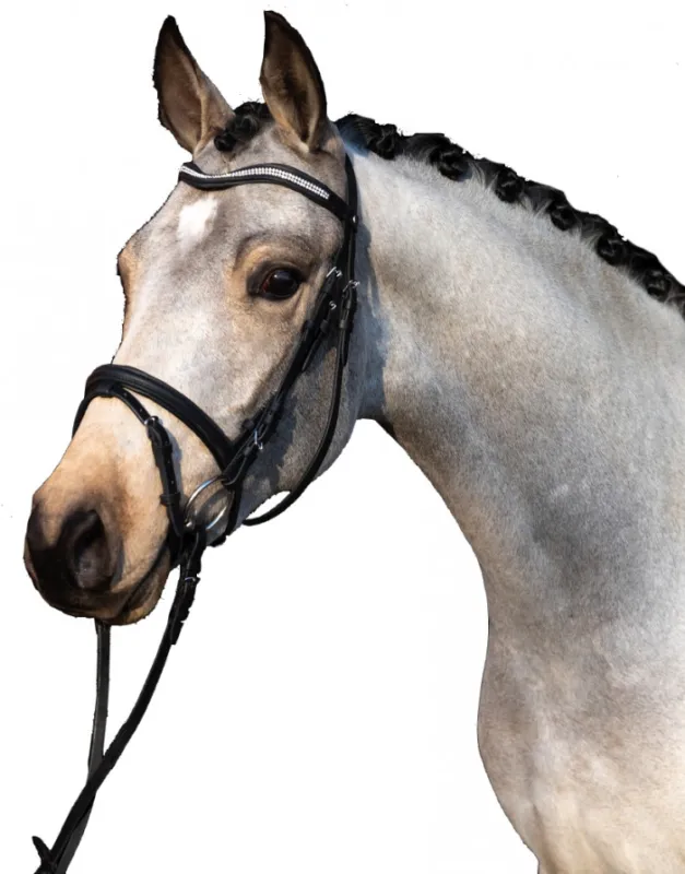 Bridon spcial mini, shet et poney -Little Star- HKM Acheter En Ligne