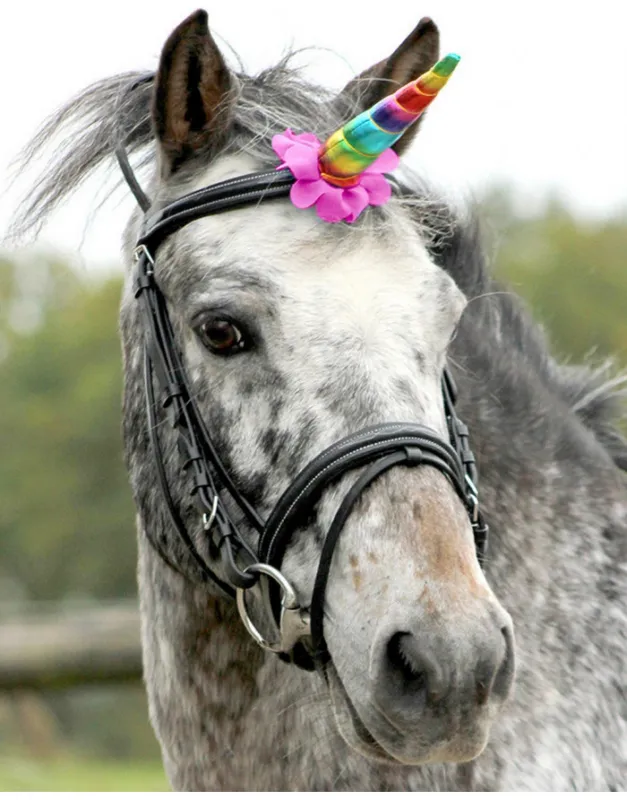 Corne de licorne pour frontal Meilleure Vente