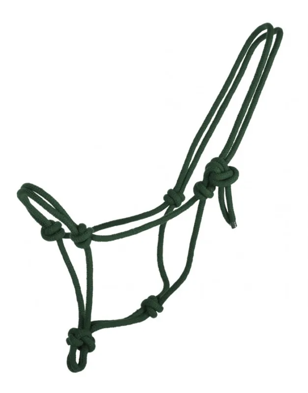 Expdition Rapide Licol Noeuds Essentiel QHP