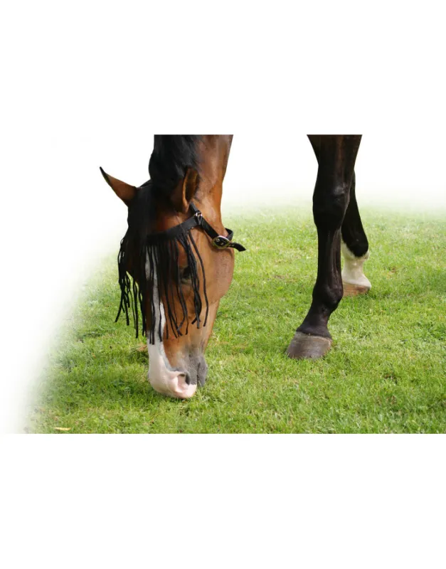 Frontal de prairie chasse-mouche Extra QHP Nouvelle Collection