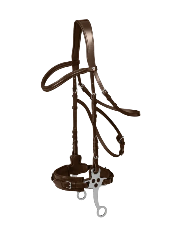 Expdi Aujourdhui Bridon spcial pour Hackamore X-Line WALDHAUSEN