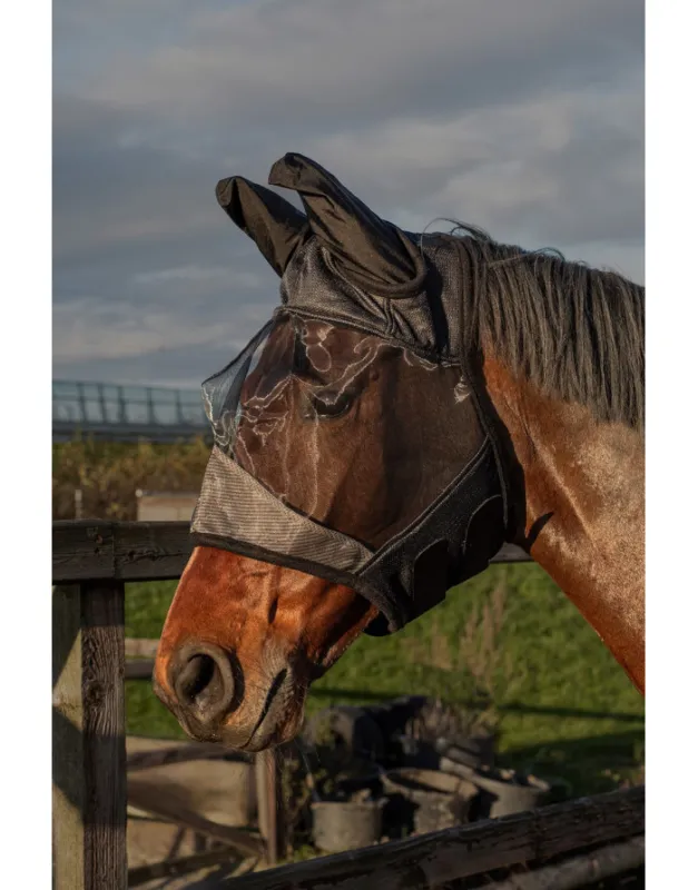 Masque noir anti-mouches Flyshield Harry's Horse Bon March