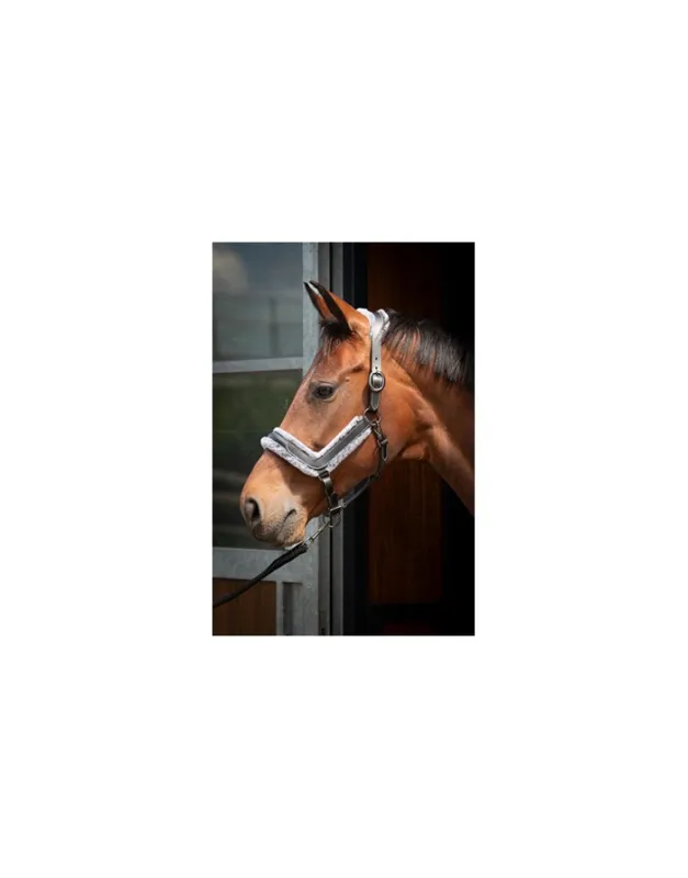 Licol en cuir - Anatomic Furry Matt - HARRY'S HORSE Commander Maintenant