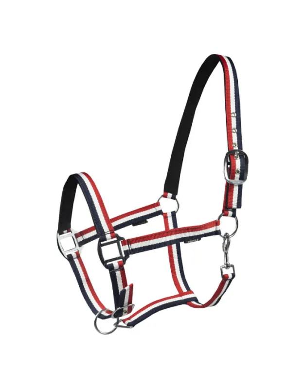 Licol – Nubuck – HORKA Prix Bas