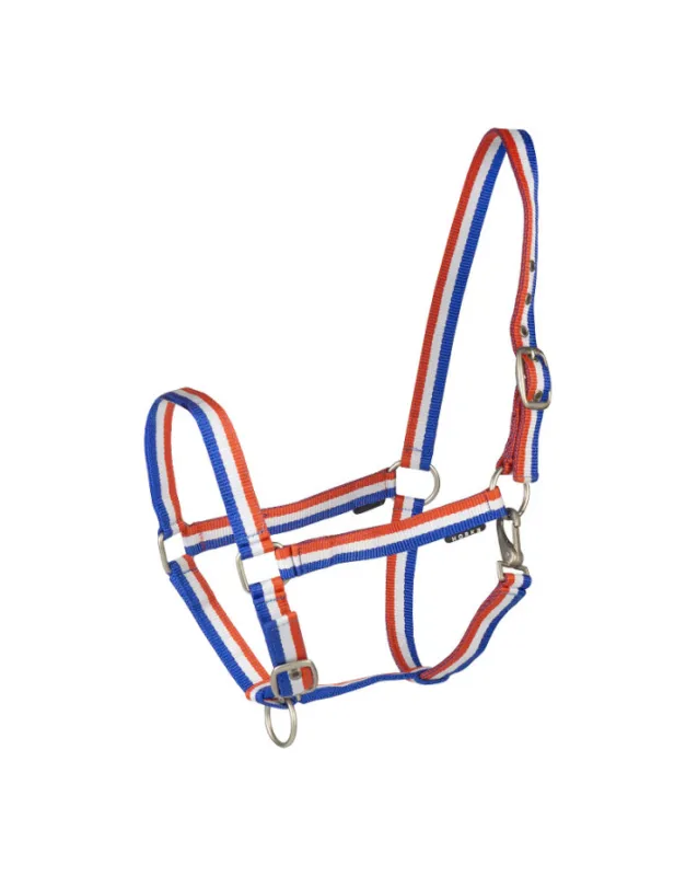 Petit Prix Licol Basic HORKA