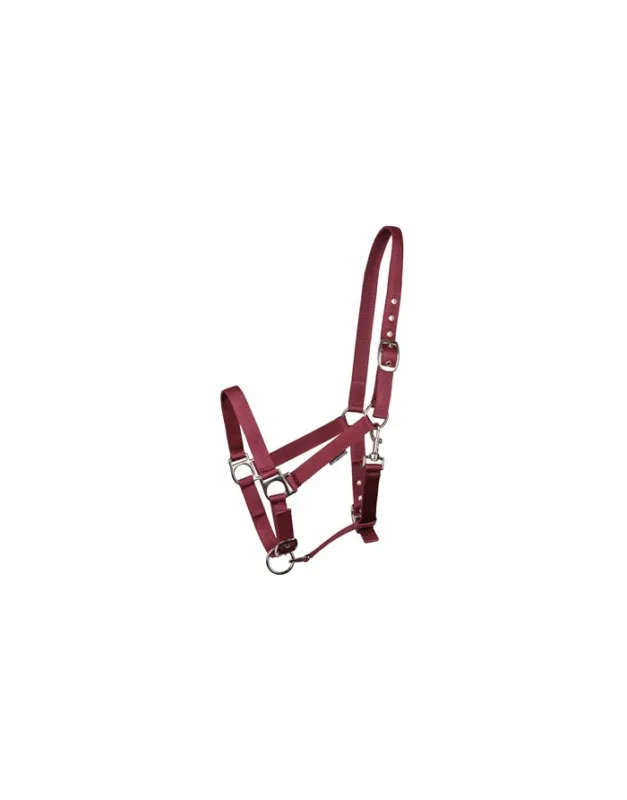 Populaire Licol 3x rglables HARRY'S HORSE