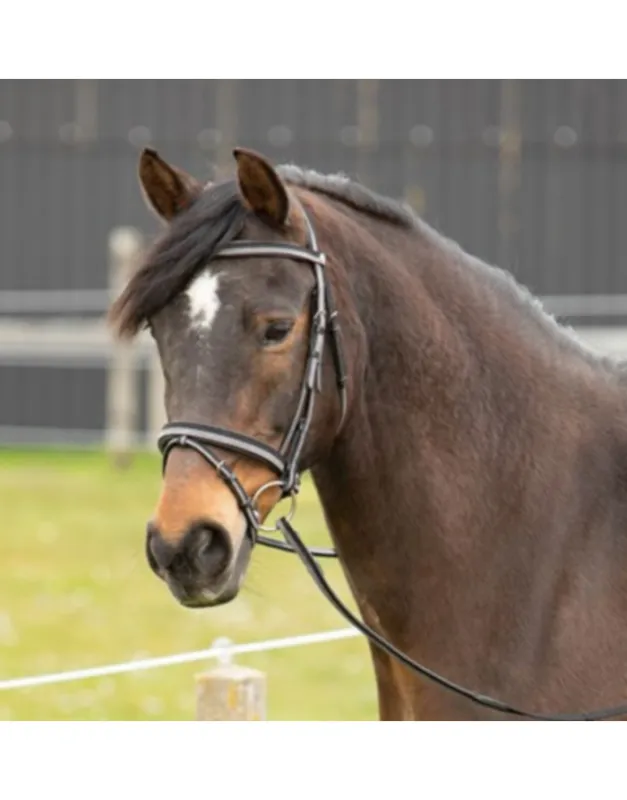 Bridon Two-Tone HARRY'S HORSE Acheter En Ligne