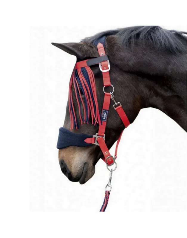 Set Licol, Longe et Franges dtachables HKM Soldes