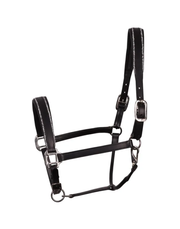 Promotion Licol Sparkle HARRY'S HORSE