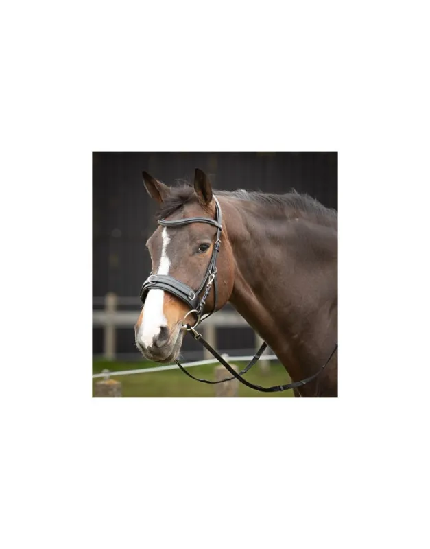 Quantit Limite Cavecon bridon en cuir HARRY'S HORSE