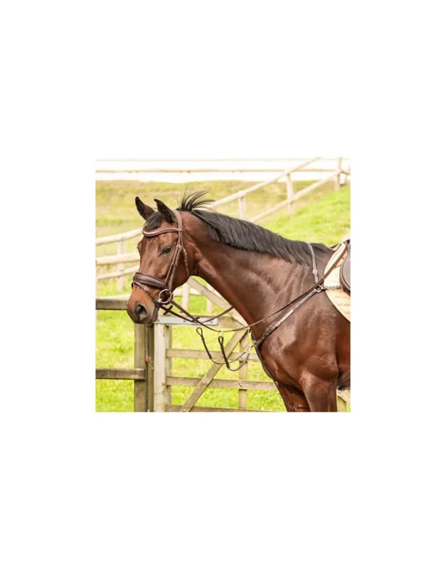 Marque Collier de chasse Rosegold