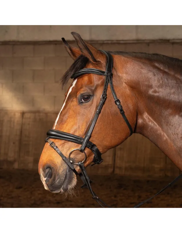 Livraison Express Bridon Soft Carbon Black Edition HARRY&rsquo;S HORSE