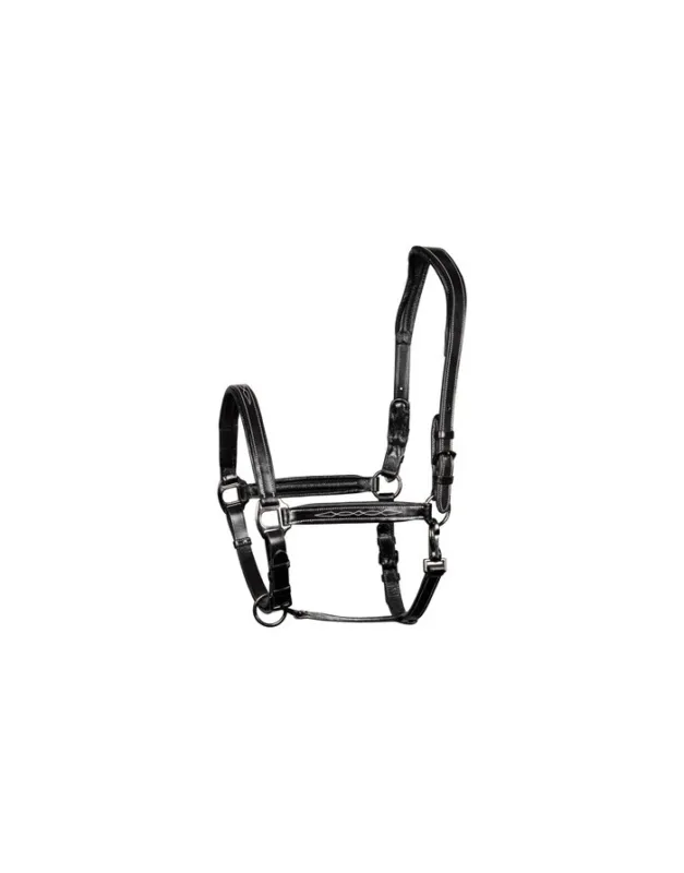 Licol cuir rembourr Supreme HARRY&rsquo;S HORSE Must-Have