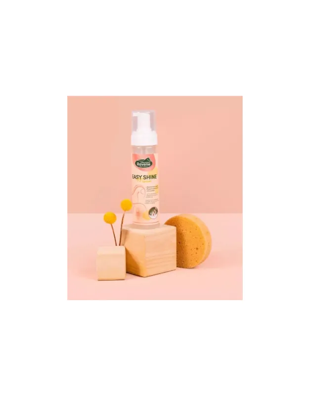 Easy Shine Mouss Shampooing  sec dtachant pour la robe du cheval RAVENE Prix Promo
