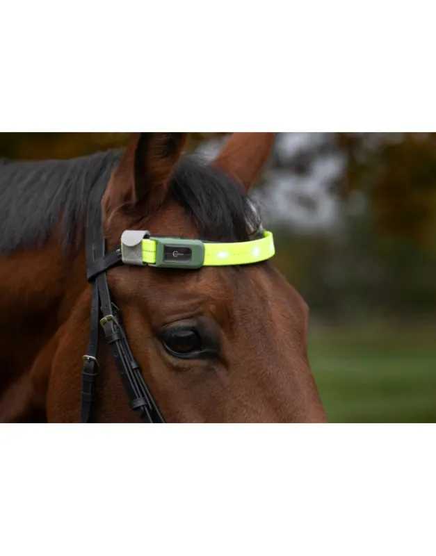 Frontal LED pour cheval KERBL Acheter En Ligne