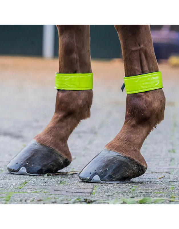 Nouvel Arrivage Bandages antrieurs fluo HORKA