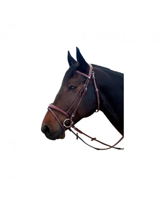 Marque Bridon FLAGS&CUP "New York" - Havane - Cheval/Full