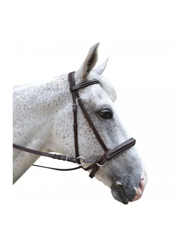 Bridon bitless CHETAK – Havane – Pur-sang/Cob Meilleur Prix