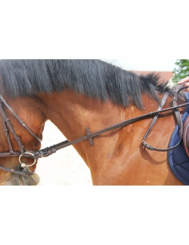 Rnes caoutchouc + arrtoirs TDET « Petits picots » – Havane – 13mm – Cheval/Full Offre Limite