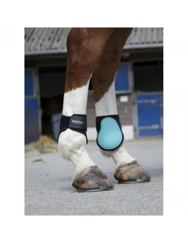 Protge-boulets NORTON – Bleu roi – Pur-sang/Cob Commander Vite