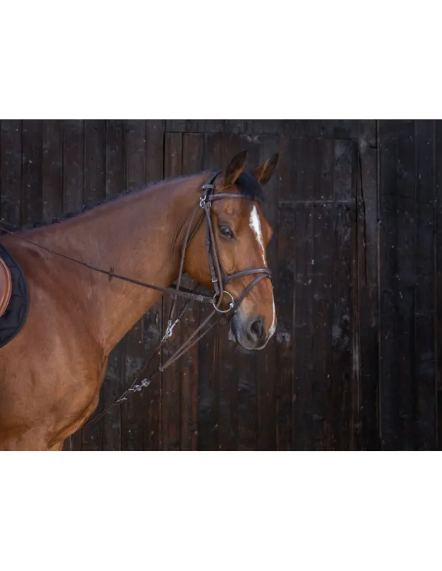 Populaire Gogue poulies RIDING WORLD - Noir - Cheval/Full
