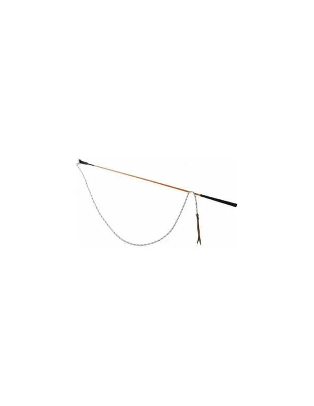 Expdi Aujourdhui Carrot stick / stick thologique – Orange – 120
