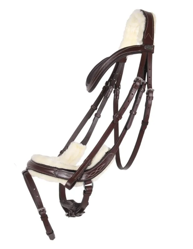 Bridon QHP Ontario - Havane - Poney Rduction