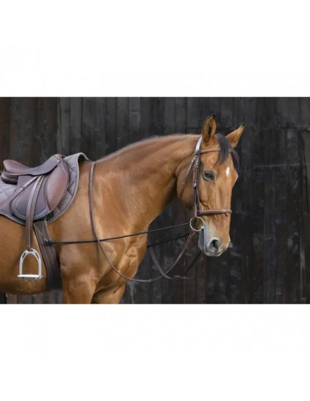 Petit Prix Enrnement lastique long ducatif QHP - Poney
