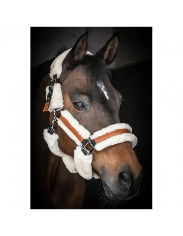 Licol PENELOPE « Soft » – Noir / Beige – Pur-sang/Cob Bon Plan
