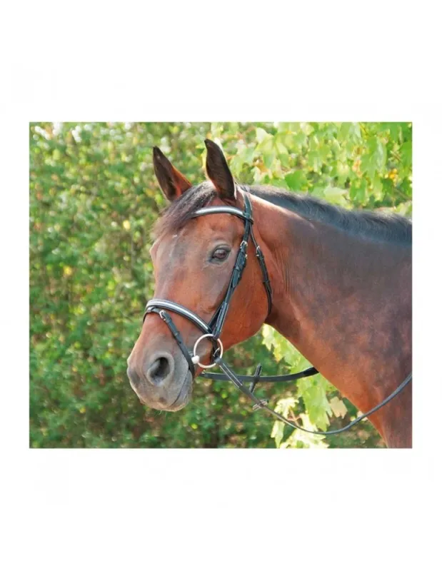 Prix Promo Bridon TDET « Pissarro » – Havane – Cheval/Full