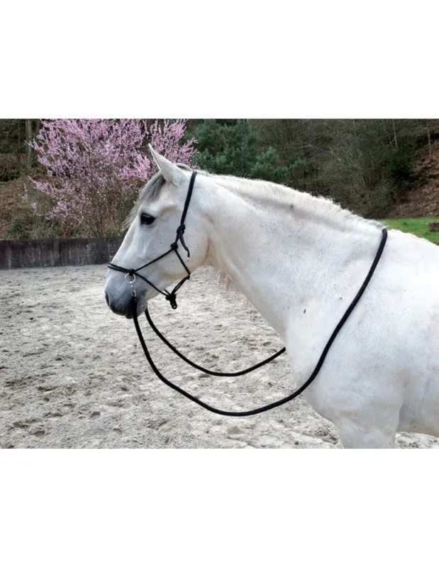 Prix Promo Licol cordelette thologique + rnes – Brun – Cheval/Full
