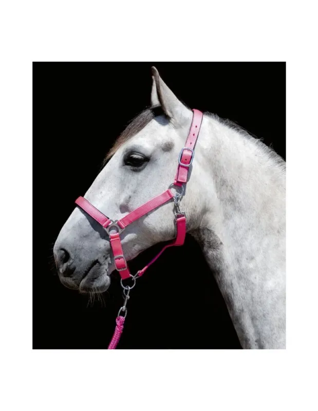 Marque Licol nylon HKM "Stars" - Rose - Pur-sang/Cob
