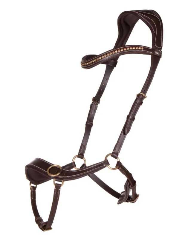 Promotion Saisonnire Bridon bitless QHP "Anatomical"