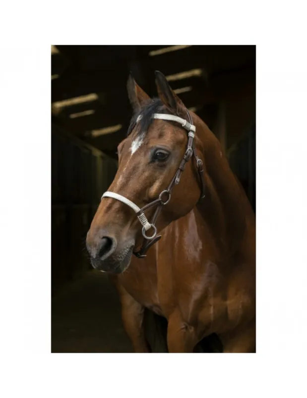 Certifi Side Pull NORTON PRO "Tresse"