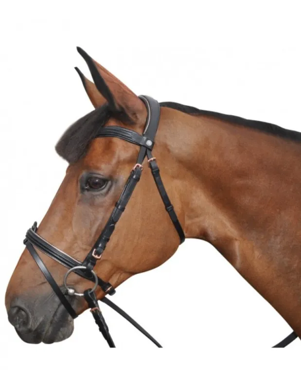 Prix Rduit Bridon CANTER « Rose Gold »