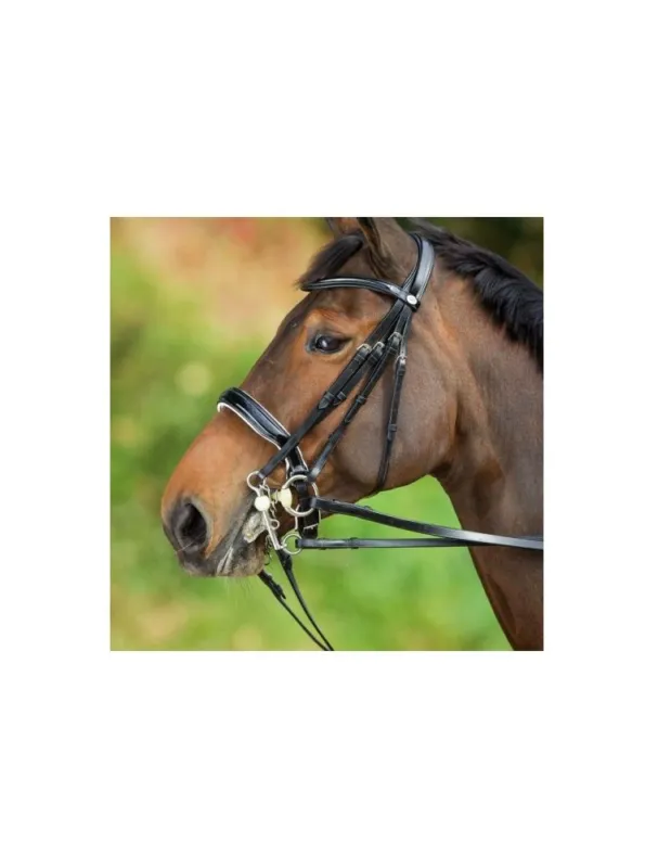 Bride de dressage convertible cuir HFI "Weymouth" Remise