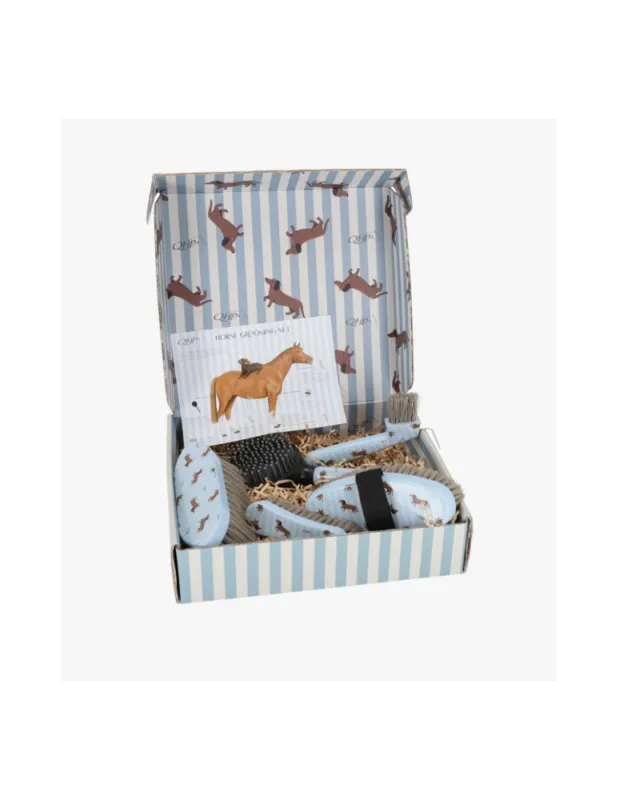Coffret de pansage Stable buddy QHP Solde