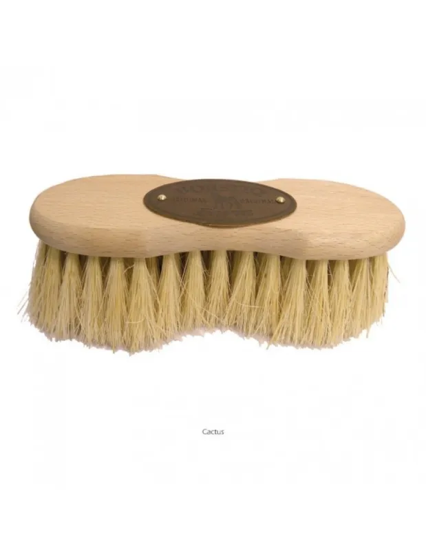 Brosse BORSTIQ « Infini cactus » Prix Cass