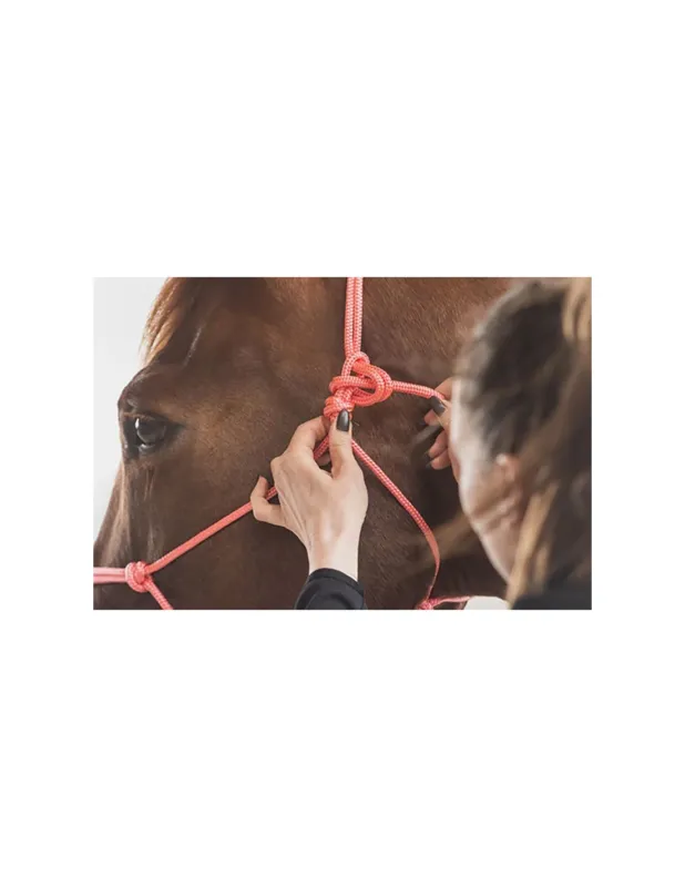 LICOL ETHOLOGIQUE UNI – HORSE AND ROPES Prix Promo