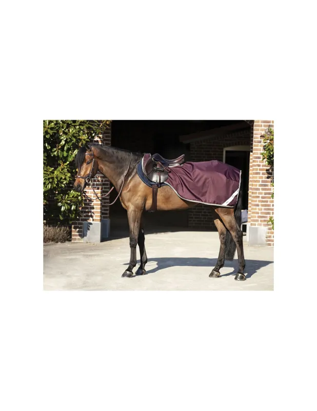 COUVRE REIN AMIGO - HORSEWARE Meilleure Vente