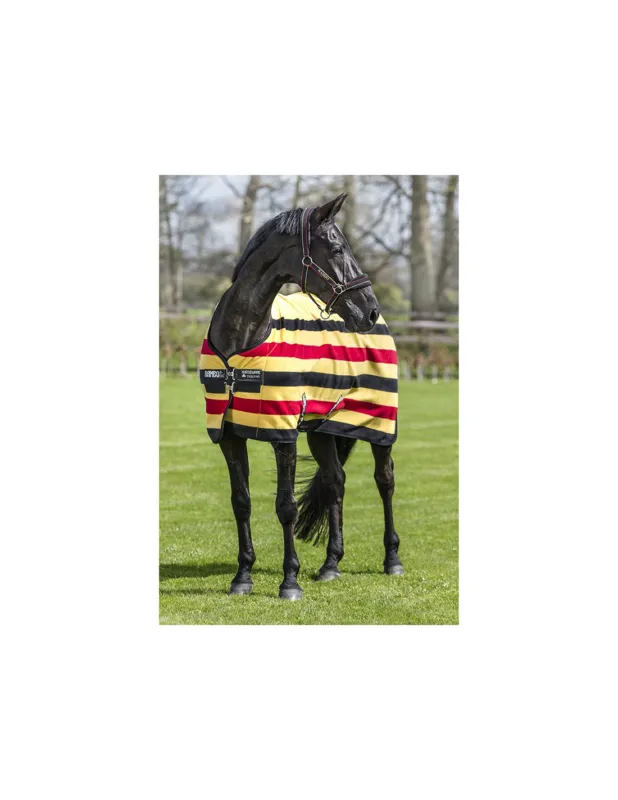 Expdi Aujourdhui CHEMISE POLAIRE RAMBO NEWMARKET - HORSEWARE