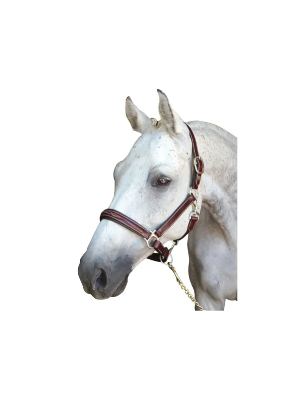 Meilleure Vente LICOL DENVER - LEXINGTON