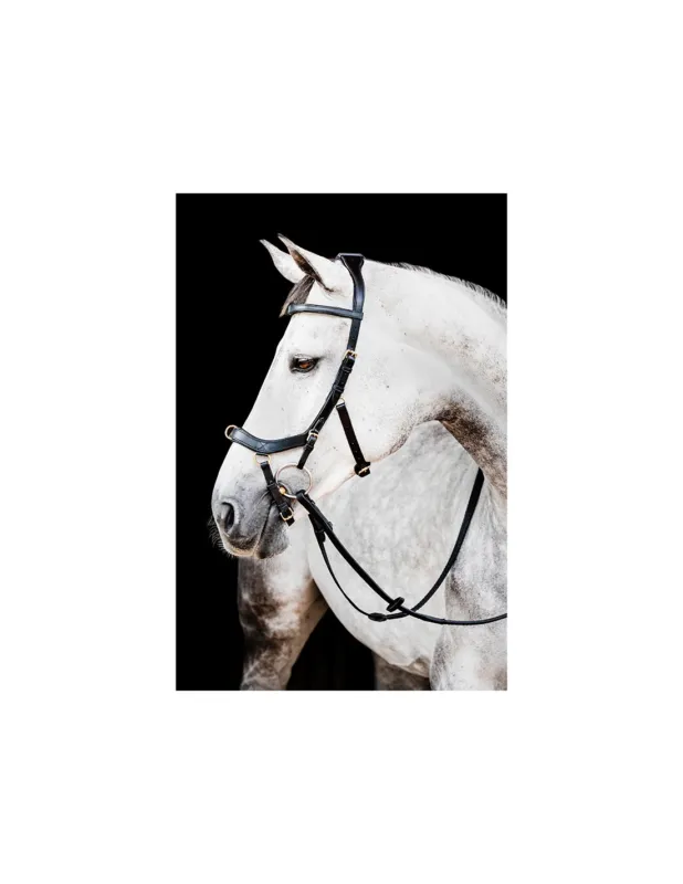 Nouvel Arrivage BRIDON RAMBO MICKLEM 2 MULTIBRIDE - HORSEWARE