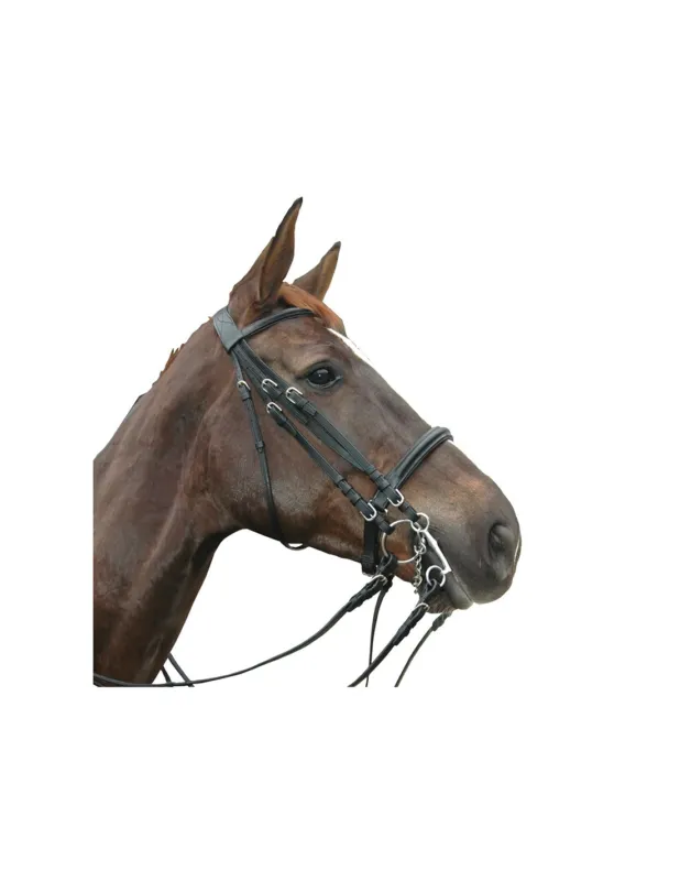 BRIDE MONTIGNY – PRIVILEGE EQUITATION Achat Immdiat