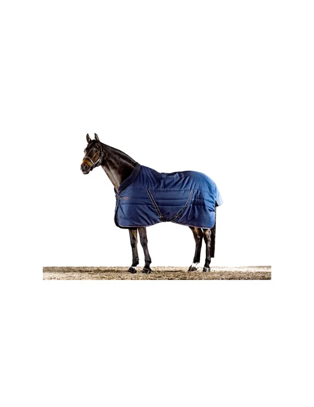 Offre Exclusive COUVERTURE DE BOX RAMBO COSY 100 GRS - HORSEWARE