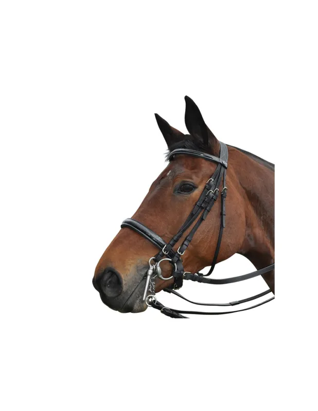 BRIDE MONACO – PRIVILEGE EQUITATION Expdi Aujourdhui