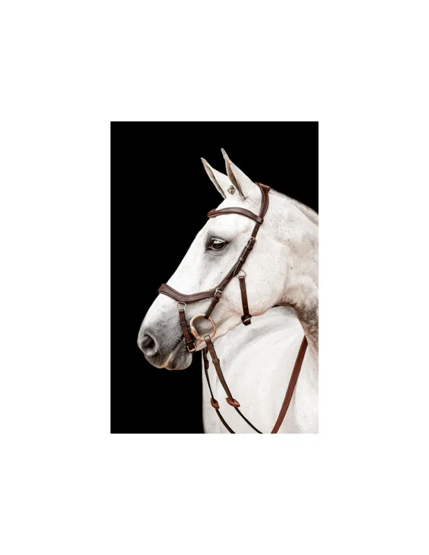 BRIDON RAMBO MICKLEM 2 COMPETITION - HORSEWARE Satisfait Ou Rembours