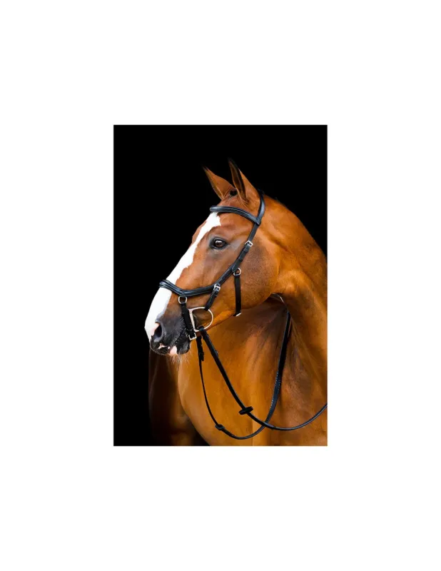Livraison Gratuite BRIDON RAMBO MICKLEM 2 DELUXE - HORSEWARE