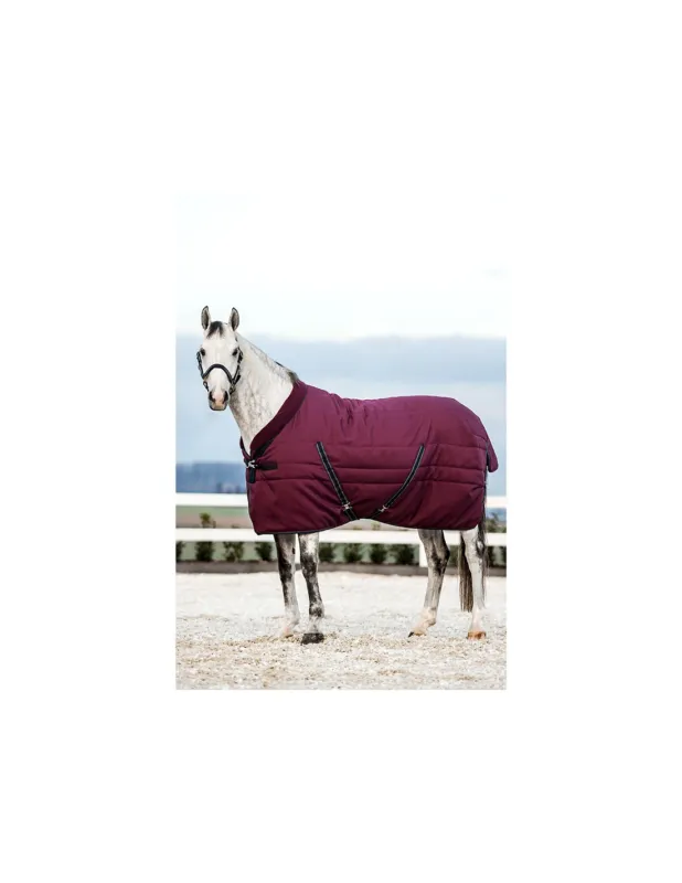 Offre Spciale COUVERTURE DE BOX RAMBO COSY 200 GRS - HORSEWARE